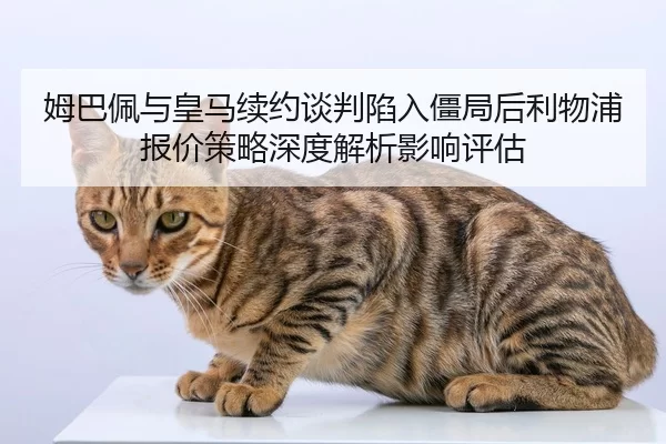 mu-ba-pei-yu-huang-ma-xu-yue-tan-pan-xian-ru-jiang-ju-hou-li-wu-pu-bao-jia-ce-lve-shen-du-jie-xi-ying-xiang-ping-gu-2-729.jpg